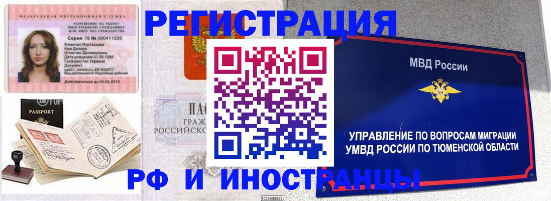 где прописаться в Камышине